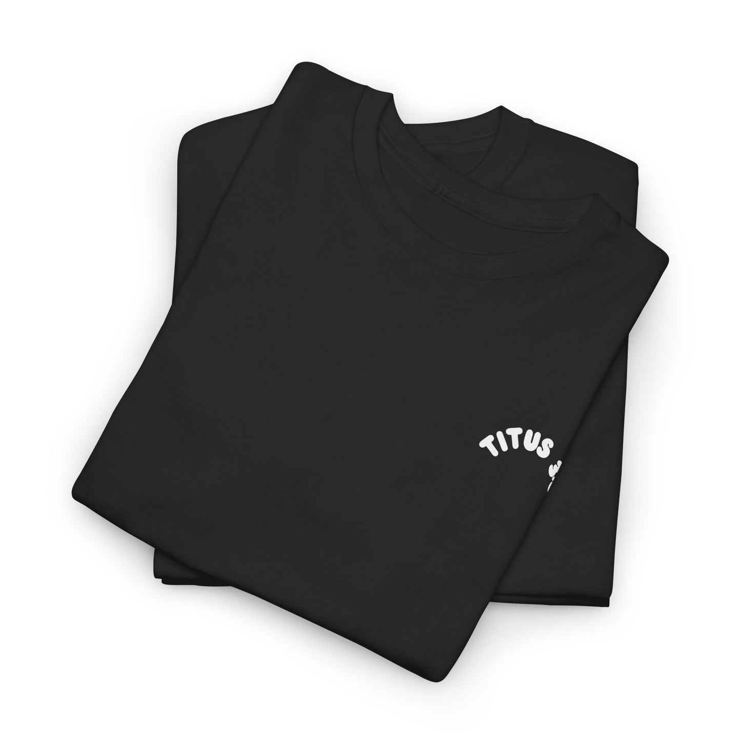 Titus 3 5 Bible Verse Unisex Faith T-Shirt - Washed from the Inside Christian Apparel