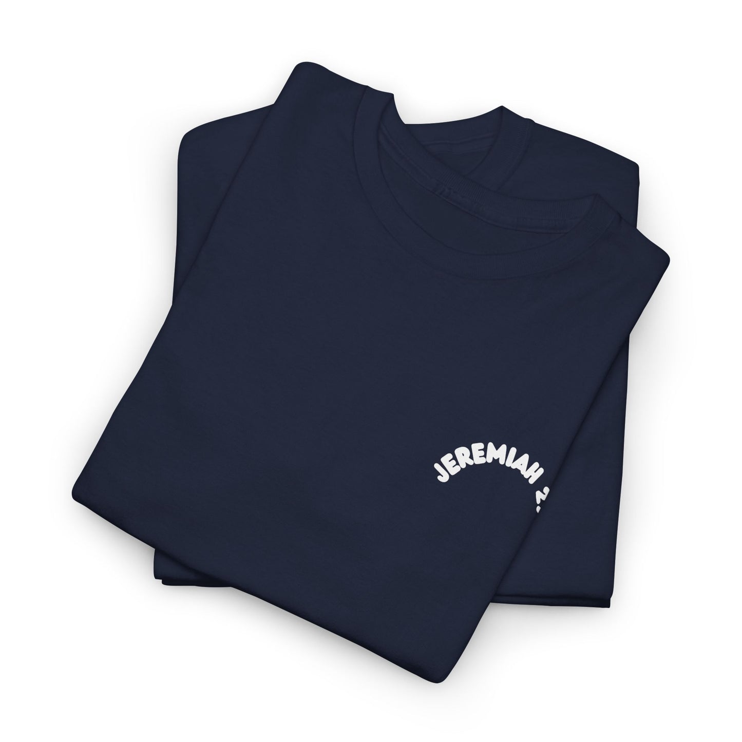 Jeremiah 29 11 Bible Verse Unisex Faith T-Shirt - He Has Good Plans For Me Christian Apparel
