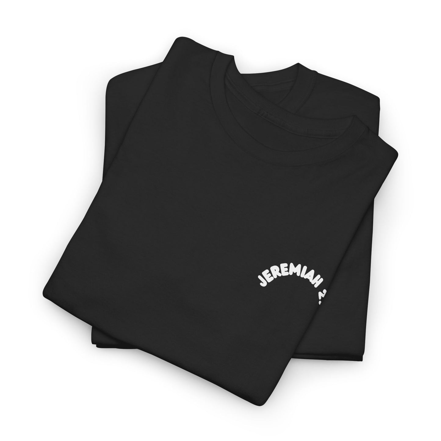 Jeremiah 29 11 Bible Verse Unisex Faith T-Shirt - He Has Good Plans For Me Christian Apparel